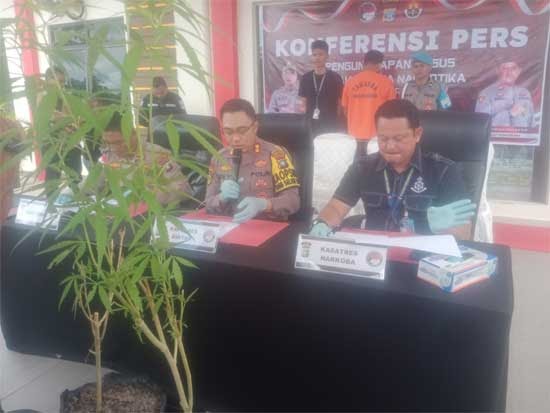 Polres Bintan Tangkap Pemilik Narkotika, Tiga Batang Ganja dan Satu Paket Kecil&nbsp;Disita