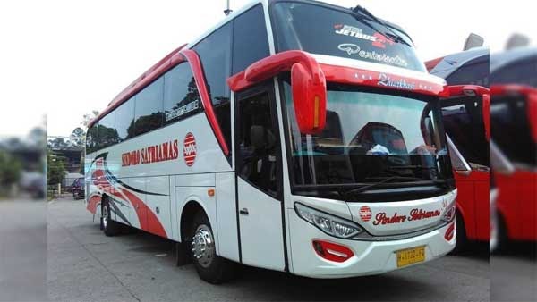 Sindoro Sejahtera Mulya akan Mengaspal dengan Bus&nbsp;Baru